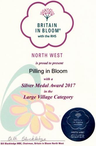 Pilling in Bloom